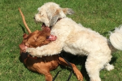 Floyd & Pablo