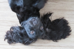 How Cool is this