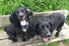 Bella & Jess S