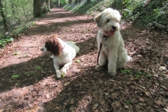 Holly & Pablo
