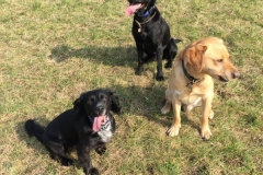 Wax, Bella & Tomas